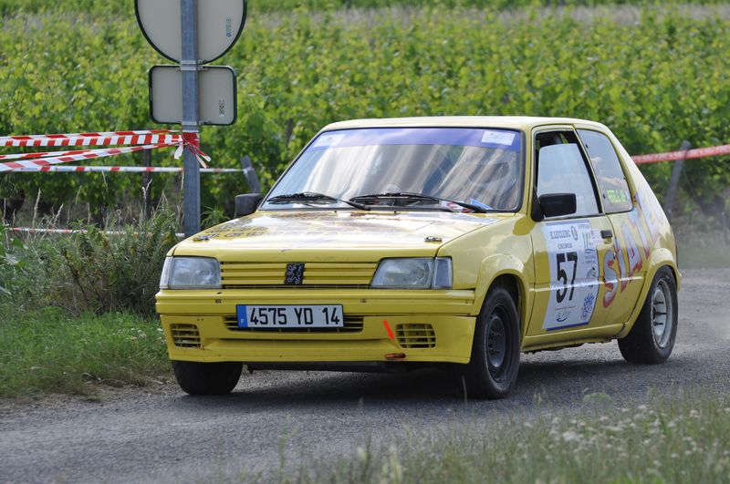 Pestel G 1.jpg